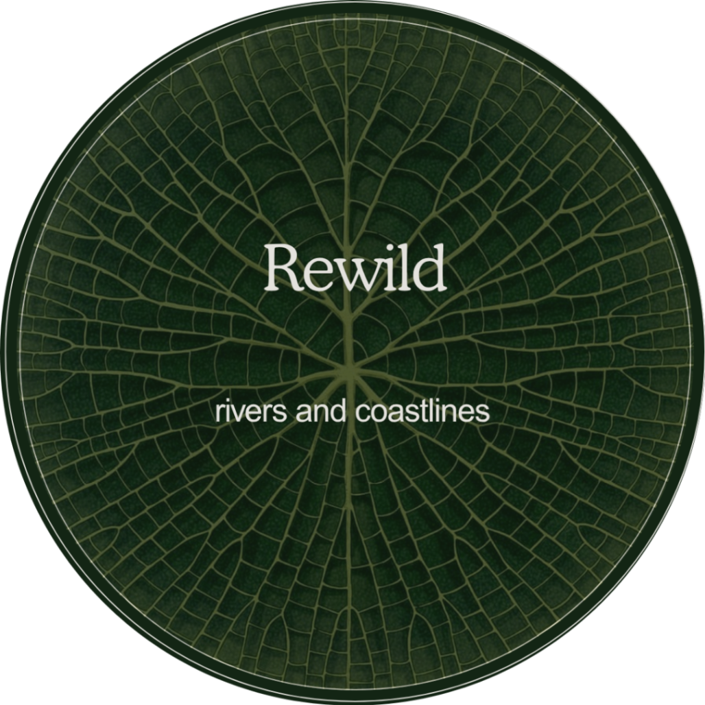 Rewild