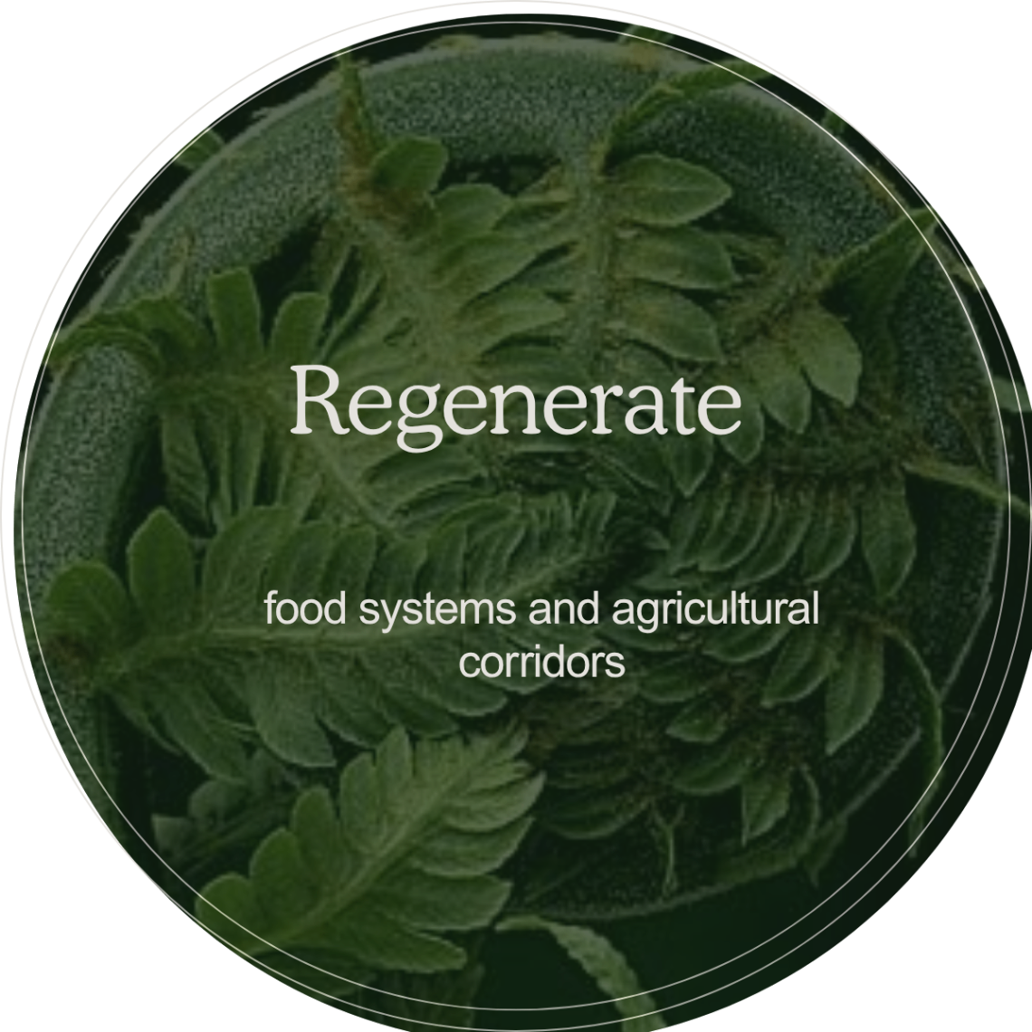 Regenerate