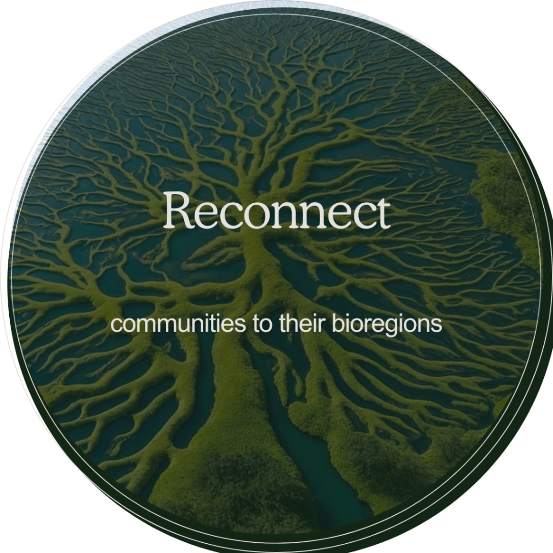 Reconnect