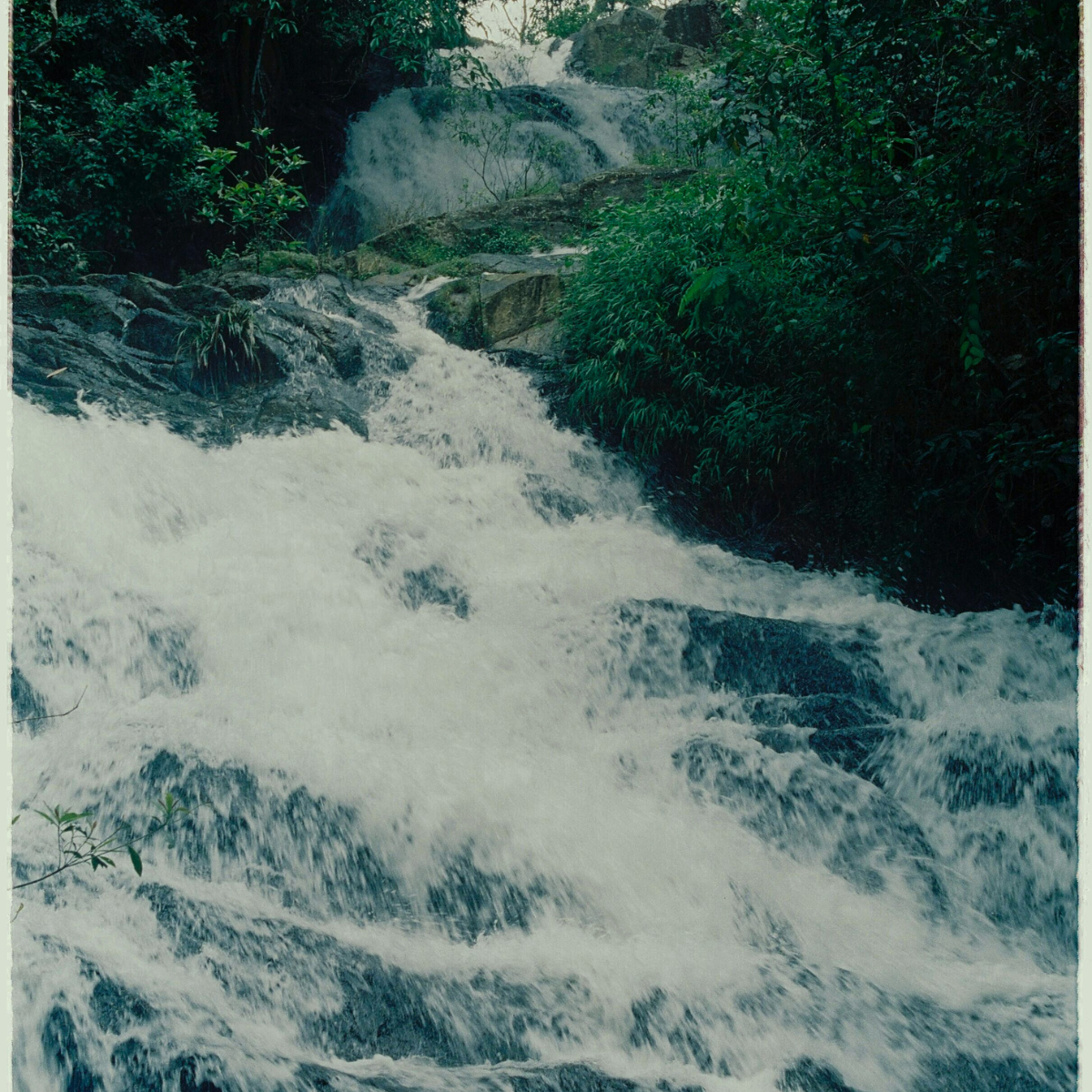 Waterfall flowing through dense forest
